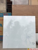 GẠCH LÁT NỀN 50X50 NP507- 3D THANH LÝ KHO 68,000Đ/M2