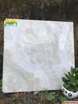 Gạch lát nền phòng khách cao cấp, 60X60 Hongappollo