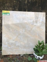 Gạch lát nền phòng khách đẹp rẻ 60X60- Hongappollo