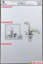 gạch ốp nhà tắm 30x60