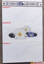 gạch ốp tường bếp 30x60