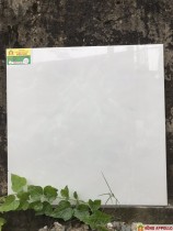 Gạch lát nền phòng ngủ sang trọng 60x60 - HỒNG APPOLLO