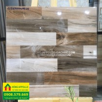 Gạch 6060 đá bóng kính lát nền nhà bếp unis -HỒNG APPOLLO