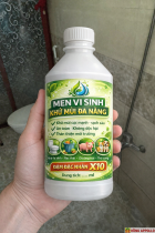 XỬ LÝ MÙI HÔI NHÀ VỆ SINH TRƯỜNG HỌC – GIẢI PHÁP AN TOÀN