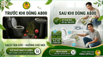 A800 KHỬ MÙI NHÀ VỆ SINH BỐC MÙI, HỐ GA HÔI THỐI