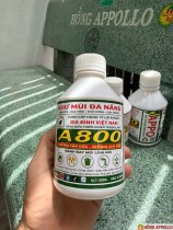HƯỚNG DẪN SỬ DỤNG & LỜI CẢM ƠN TỪ A800