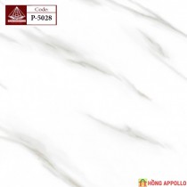 GẠCH LÁT NỀN 5050 P5028 VÂN MÂY
