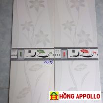 Gạch ốp tường 25x40 phòng trọ