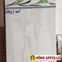 30X45 HA41VN hoa loa kèn