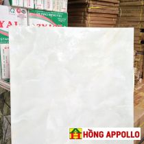 60x60 đá bóng tp ava603