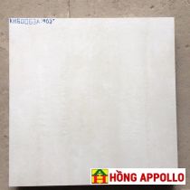 GẠCH LÁT NỀN 60X60 nhà biệt thự