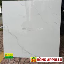 Gạch lát nền 60x60, Gach-60x60-6001-nice-HONG-APPOLLO