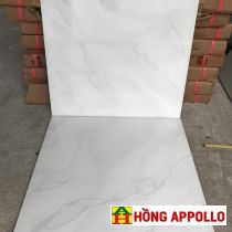 Gạch lát nền 40X40 PAK 4053