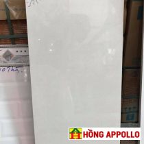 GẠCH ỐP TƯỜNG 30x60 MS01t1828 đá bóng kính