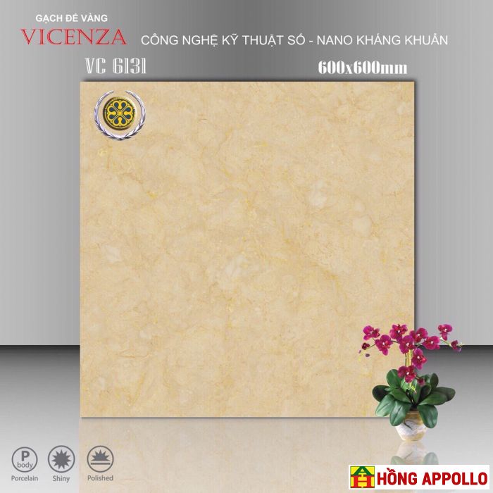 Gạch bóng kiếng 60x60 lát nền phòng khách rẻ đẹp