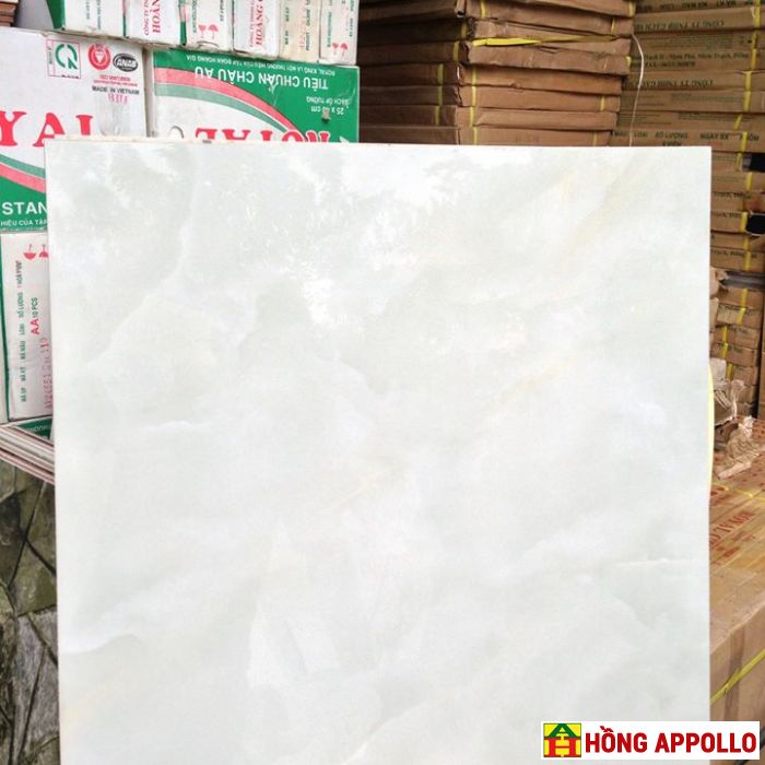 60x60 đá bóng tp ava603