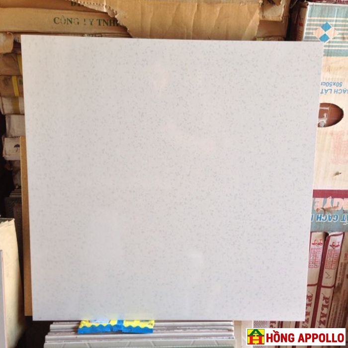 40X40 ĐÁ MUỐI TIÊU 105N